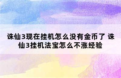 诛仙3现在挂机怎么没有金币了 诛仙3挂机法宝怎么不涨经验